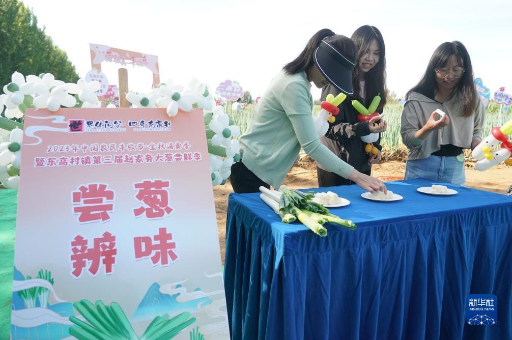 大发登录客户端